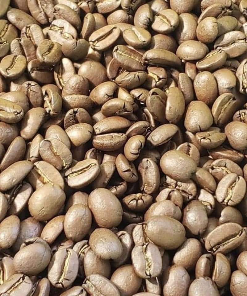 EXFANCY KONA COFFEE | KONA HILLS COFFEE LLC