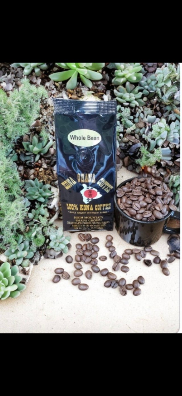 コーヒー Hona Hills Coffee 100% Kona Coffee 8oz 100% Kona Premium Coffee 8oz – Mountain Thunder Coffee